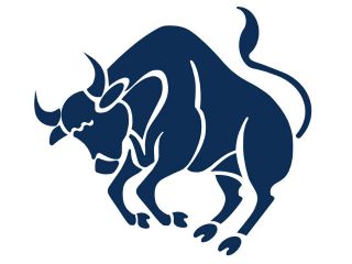 Taurus Bull Vinyl Sticker/Decal Laptop + SML sizes for Wall/Vehicle 