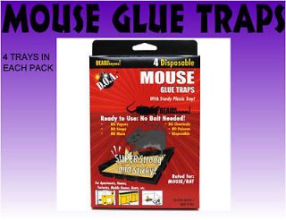   Lot of 24 Mice Trap Mouse Rodent Glue Tray Traps for Home Garden 4pks