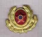   1966 RSR Soviet Romania Superb Military enameled Cap Badge Ceausescu