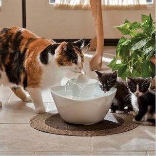  Lotus Pet Fountain Fresh Filtered Water Ceramic Bowl For Dogs and Cats