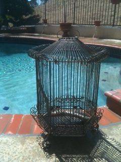 antique metal bird cage fully functional garden decoration local pick 