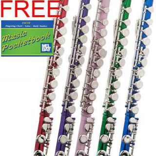   FLUTE SILVER GOLD BLUE GREEN PINK PURPLE RED FINISH PLUS BOOK, STAND