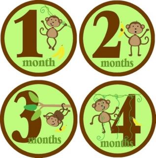 Monkeying Around Monthly Baby Growth Onesie Stickers for Photos