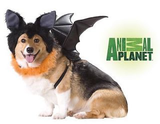 Animal Planet Bat Dog Pet Costume *New*