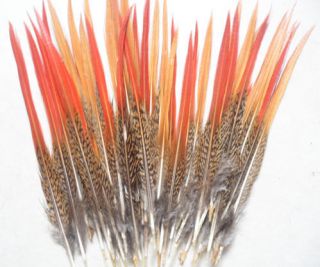 Wholesale, 10 100pcs beautiful Natural pheasant tail feathers, 20 25 