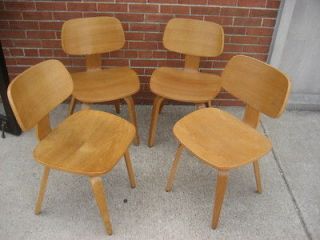 Thonet Bent Oak Plywood Chairs. Stunning Danish Design. Great Shape 
