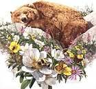 BEV DOOLITTLE   BUGGED BEAR   MINT Unsigned from Book Where Sillence 