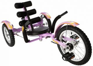 Mobo Mobito 16 3 WHEEL Trike Tricycle RECUMBENT Bike Purple