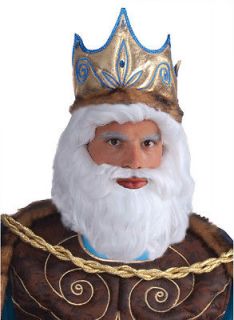 Wizard Santa Claus Neptune Poseidon Biblical White Beard Wig