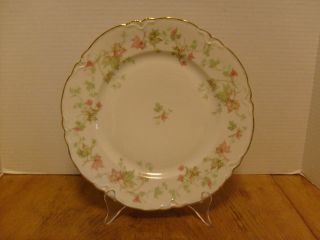 Hutschenreuthe​r Selb Bavaria PASCO The Maple Leaf Dinner plate 9 7 