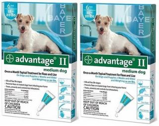 ADVANTAGE II Dog Flea Control 11 20 lbs Teal 12 Month