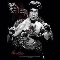 Bruce Lee Red and Black Dragon T Shirt Sizes S 3XL
