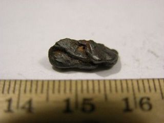 Meteorite Campo del Cielo iron nickel Argentina 14 x 7 mm 0.7 gram 