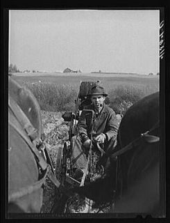   Canadian potato farmer on a horse drawn digger. Near Caribou,Maine
