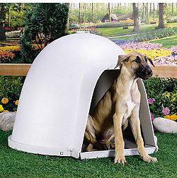 Medium Dogloo Igloo Dog House