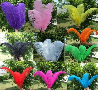 Wholesale 50PCS Quality Natural OSTRICH FEATHERS 10 12 inch Color 