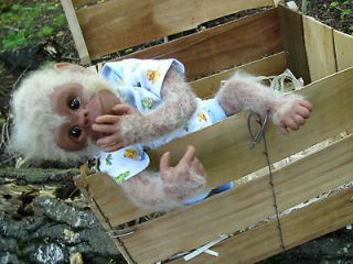   lifelike realistic Albino monkey chimpanzee ape OOAK handcrafted Chaz