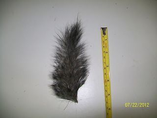 REAL ANIMAL TAIL SQUIRREL TAXIDERMY CRAFT SUPPLIES HALLOWEEN