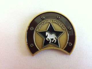RARE USAF Workhorse Saddle Up, COMMANDERS Challenge Coin, US Army 