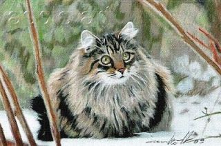 OSWOA PRINT LTD EDITION maine coon cat 8 of 10 by Anna Hoff 6 x 4 