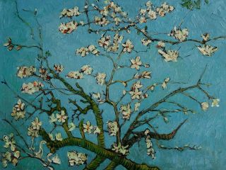 Van Gogh Branches of an Almond Tree in Blossom Abstract Art Oil 