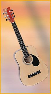 Eleca Acoustic Dreadnought Guitar DAG 5J Natural