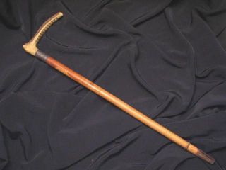 JOHN HOWELL CHILDS STAG HANDLE CANE WALKING RIDING CROP