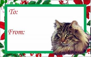12 Maine Coon Kitten or Cat Christmas Gift Tags