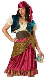 Womens Gypsy Fortune Teller Adult Halloween Costume