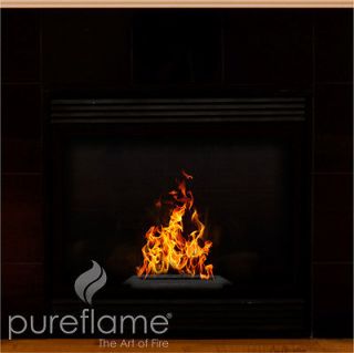 fireplace gas inserts in Fireplaces