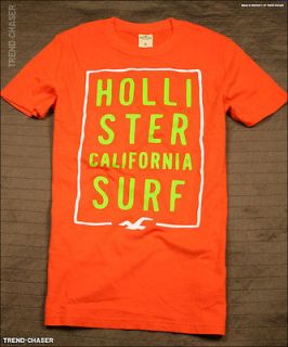   Hollister HCO Mens Muscle Fit Short Sleeve Tshirt Fletcher Cove NWT