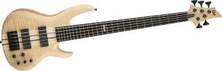 ESP LTD Deluxe B 1005 5 String Bass  GuitarCenter 
