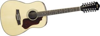 Ibanez SGT122 SAGE SERIES 12  String Acoustic Guitar (SGT122NT)