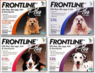 Frontline Plus is a top selling flea killer for many pet owners