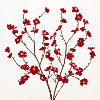 Red Velvet Plum Blossoms, Set of 2  World Market