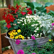 OBI   Gartentipps Juni   So pflegen Sie Ihren Garten im Juni