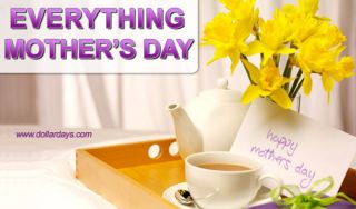 Wholesale Mothers Day Gifts   Special Mothers Day Gifts   DollarDays 