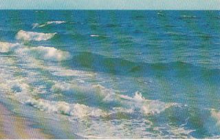 USA  Massachusetts / Salisbury Beach  Nice Card ( Usa 839 )
