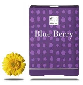 New Nordic Blue Berry Eyebright 60 Tablets   Free Delivery 
