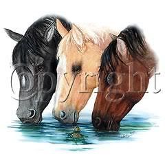 WATER DRINKING HORSES T SHIRT SPORTS GIFTS HOBBIES LD