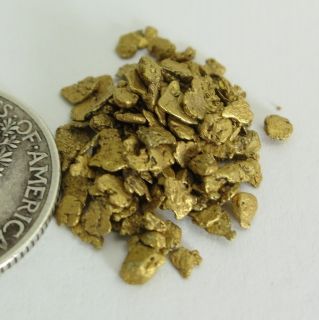 11 grams Alaska Gold Nuggets 10 14 mesh Large Size Natural Placer 
