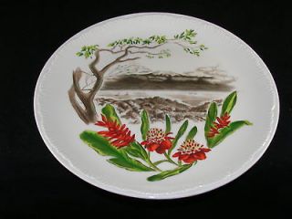   WEDGWOOD PLATE MAUNA LOA 1860 HAWAII DETOR JEWELERS HONOLULU Z5604 14