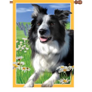 28 x 40 LACEY THE BORDER COLLIE DOG HOUSE FLAG   DOUBLE SIDED
