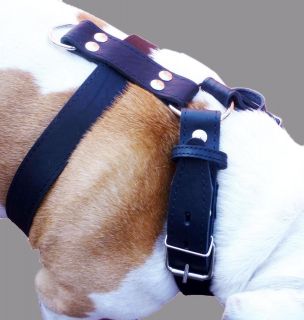 High Quality Leather Walking Dog Harness 30 35 size German Shepherd 