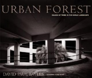   Forest   Images of Trees in the Human Landscape 2003, Hardcover