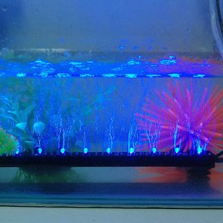 Submersible Eclairage lampe lumiere BLEU 12 LED 31 CM PR Aquarium fish 