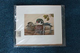 2010 Wisconsin Ducks Unlimited Sponsor Print & Conservation Stamp