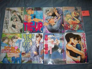 Japanese Yaoi Boys Love Shonen Ai Manga lot of 2 CHOOSE YOUR OWN over 