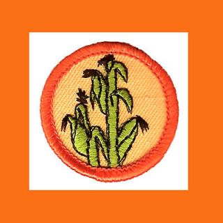 FOOD RAISER Girl Scout Badge World of TODAY & TOMORROW Orange 