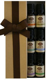   Sampler Gift Set 6 10 ml 100% Pure Essential Oil   US FREE Shipping
